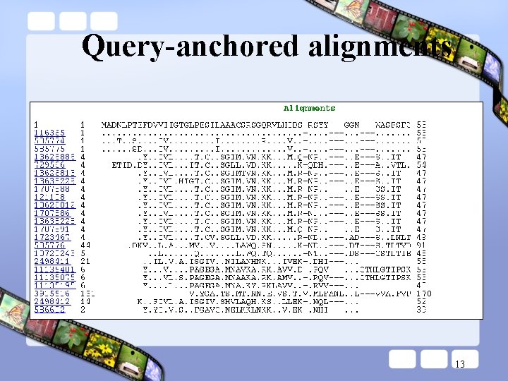 Query-anchored alignments 13 