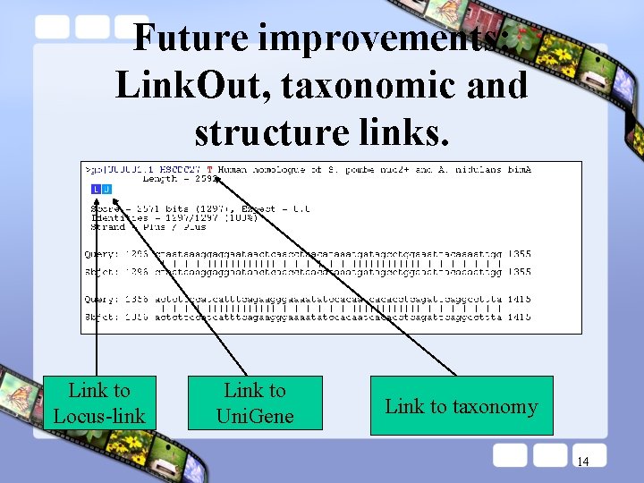 Future improvements: Link. Out, taxonomic and structure links. Link to Locus-link Link to Uni.