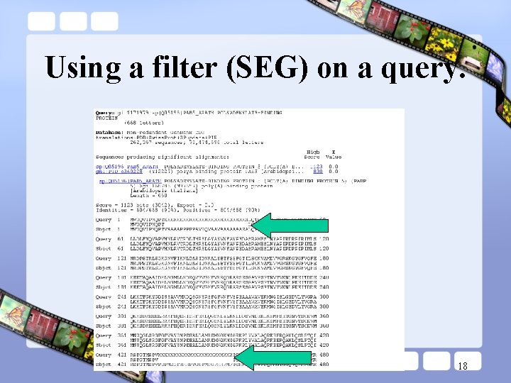 Using a filter (SEG) on a query. 18 