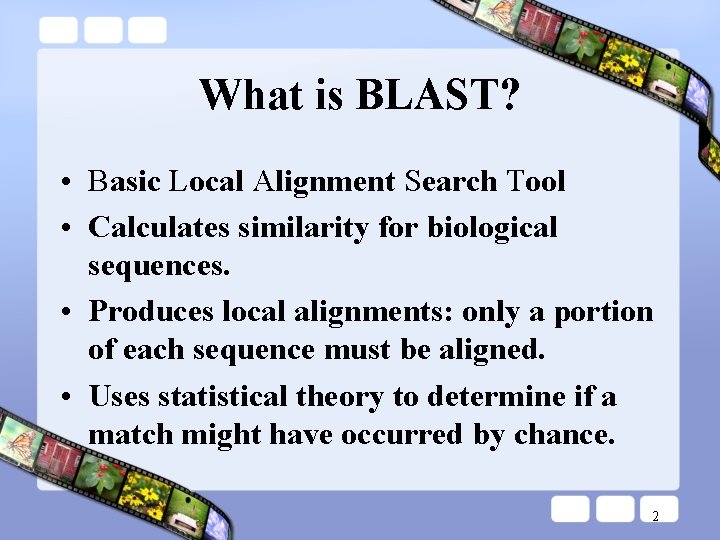 What is BLAST? • Basic Local Alignment Search Tool • Calculates similarity for biological