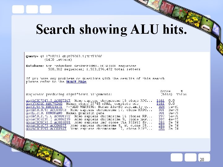 Search showing ALU hits. 20 