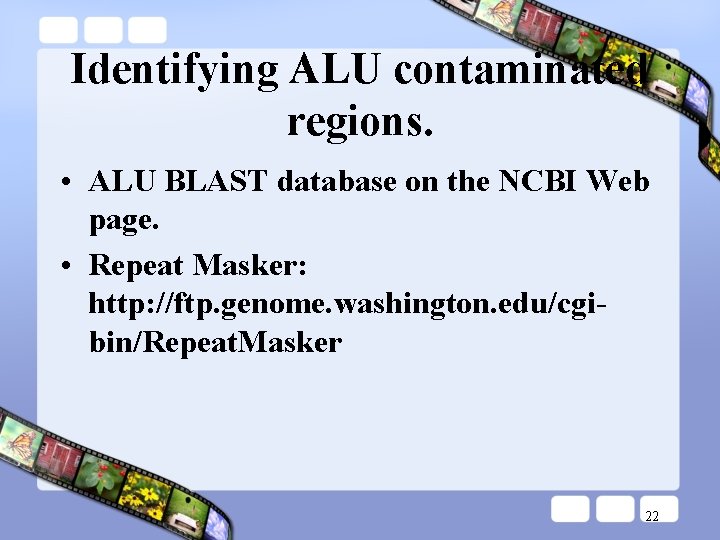 Identifying ALU contaminated regions. • ALU BLAST database on the NCBI Web page. •