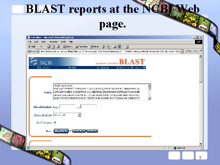 BLAST reports at the NCBI Web page. 5 
