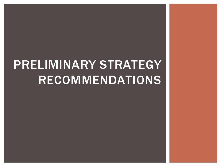 PRELIMINARY STRATEGY RECOMMENDATIONS 