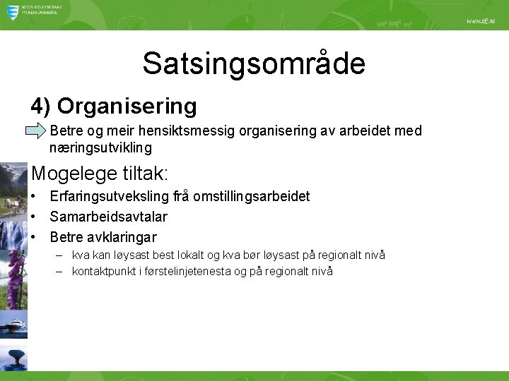 Satsingsområde 4) Organisering Betre og meir hensiktsmessig organisering av arbeidet med næringsutvikling Mogelege tiltak: