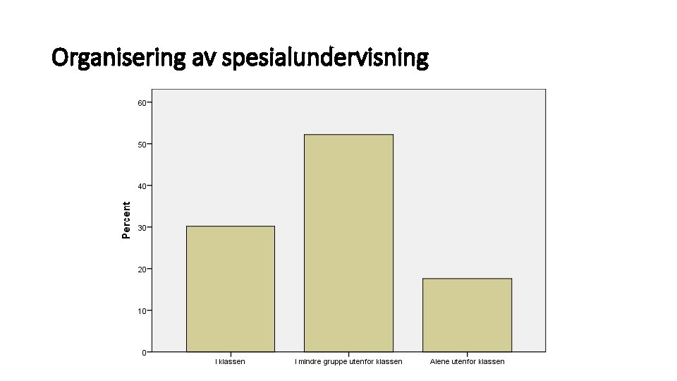 Organisering av spesialundervisning 