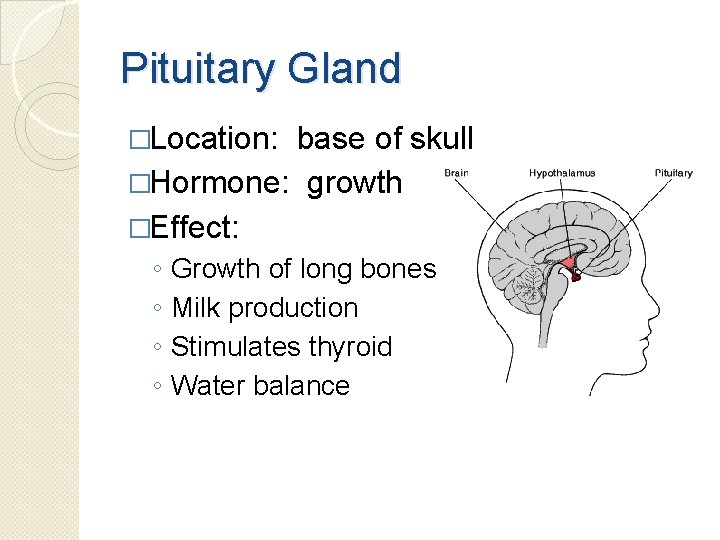 Pituitary Gland �Location: base of skull �Hormone: growth �Effect: ◦ ◦ Growth of long