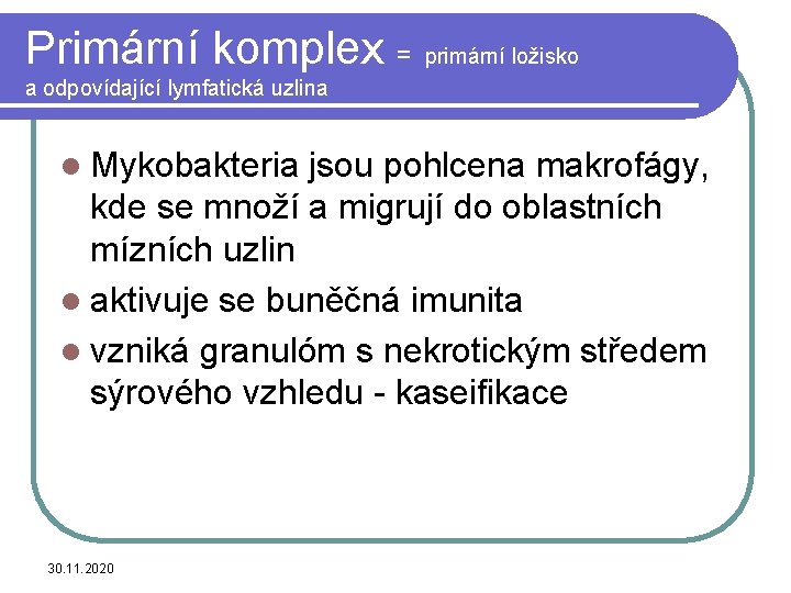 Primární komplex = primární ložisko a odpovídající lymfatická uzlina l Mykobakteria jsou pohlcena makrofágy,