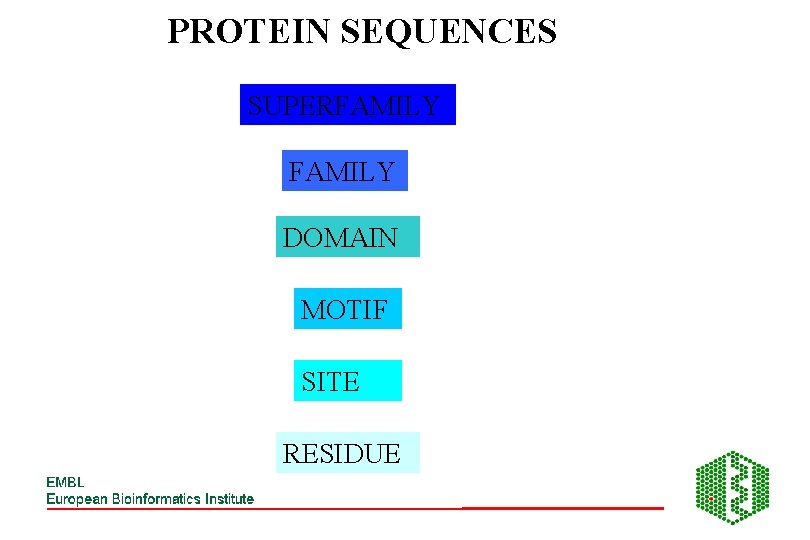 PROTEIN SEQUENCES SUPERFAMILY DOMAIN MOTIF SITE RESIDUE 