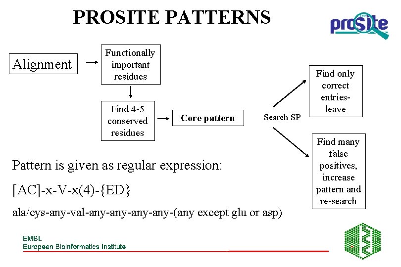 PROSITE PATTERNS Alignment Functionally important residues Find 4 -5 conserved residues Core pattern Search