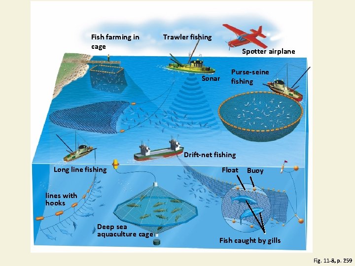 Fish farming in cage Trawler fishing Spotter airplane Sonar Purse-seine fishing Drift-net fishing Long