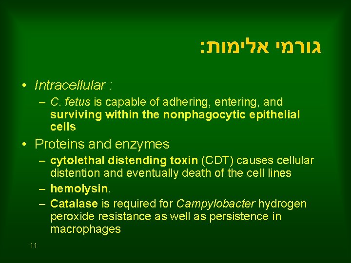 : גורמי אלימות • Intracellular : – C. fetus is capable of adhering, entering,