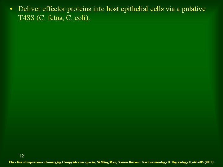  • Deliver effector proteins into host epithelial cells via a putative T 4