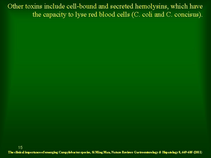 Other toxins include cell-bound and secreted hemolysins, which have the capacity to lyse red