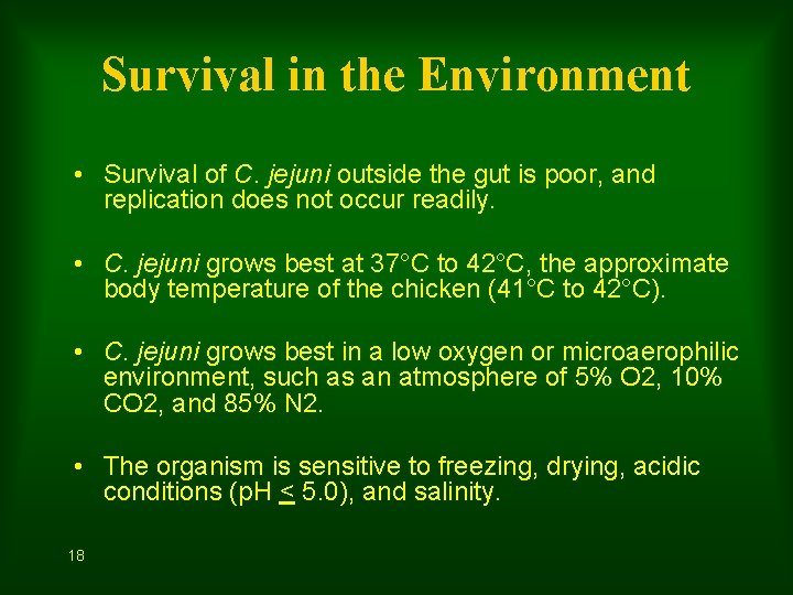 Survival in the Environment • Survival of C. jejuni outside the gut is poor,