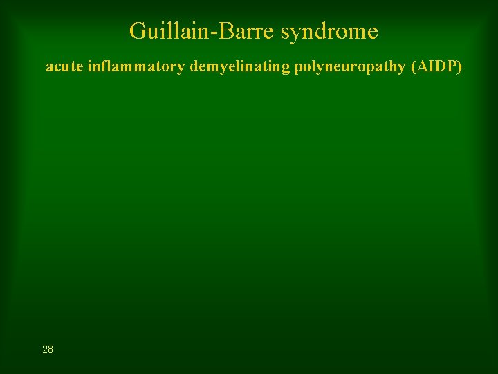 Guillain-Barre syndrome acute inflammatory demyelinating polyneuropathy (AIDP) 28 