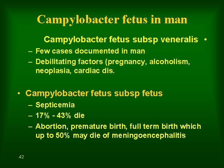 Campylobacter fetus in man Campylobacter fetus subsp veneralis • – Few cases documented in