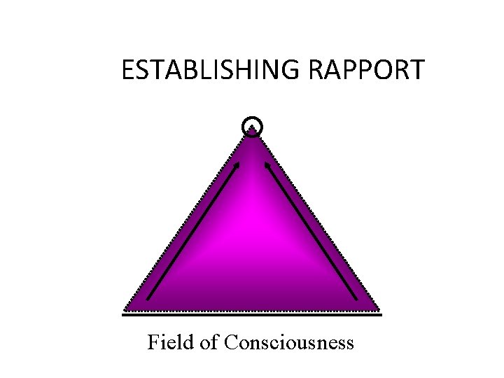 ESTABLISHING RAPPORT Field of Consciousness 