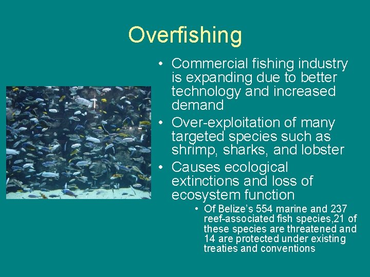 Overfishing • Commercial fishing industry is expanding due to better technology and increased demand