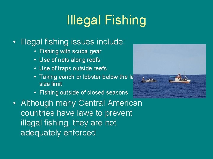 Illegal Fishing • Illegal fishing issues include: • • Fishing with scuba gear Use