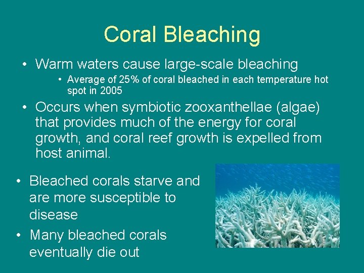 Coral Bleaching • Warm waters cause large-scale bleaching • Average of 25% of coral