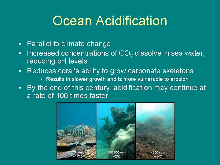 Ocean Acidification • Parallel to climate change • Increased concentrations of CO 2 dissolve