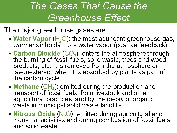 The Gases That Cause the Greenhouse Effect The major greenhouse gases are: § Water