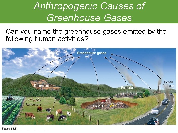 Anthropogenic Causes of Greenhouse Gases Can you name the greenhouse gases emitted by the