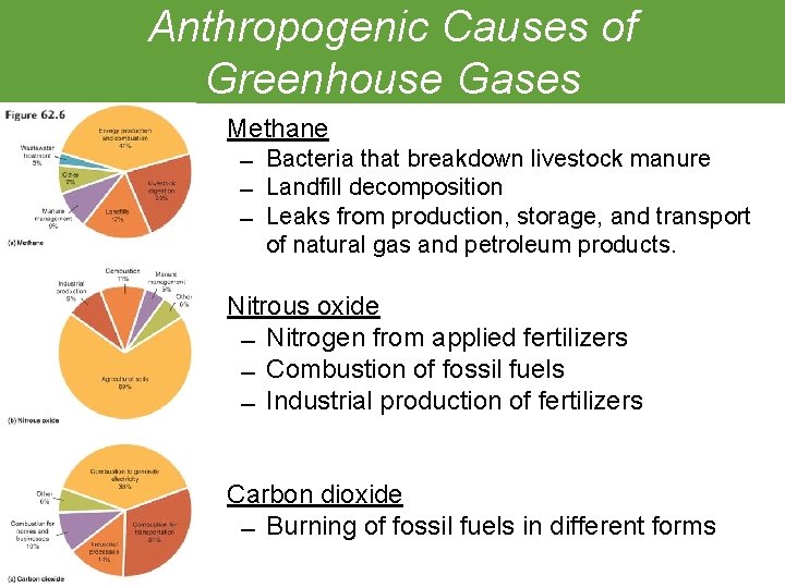 Anthropogenic Causes of Greenhouse Gases Methane Bacteria that breakdown livestock manure Landfill decomposition Leaks