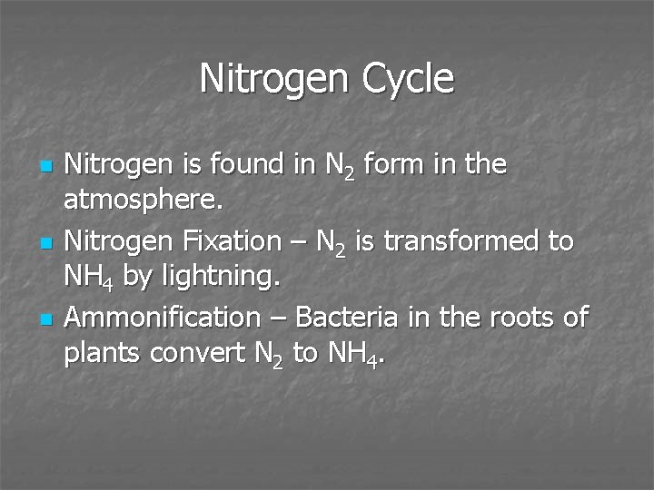 Nitrogen Cycle n n n Nitrogen is found in N 2 form in the
