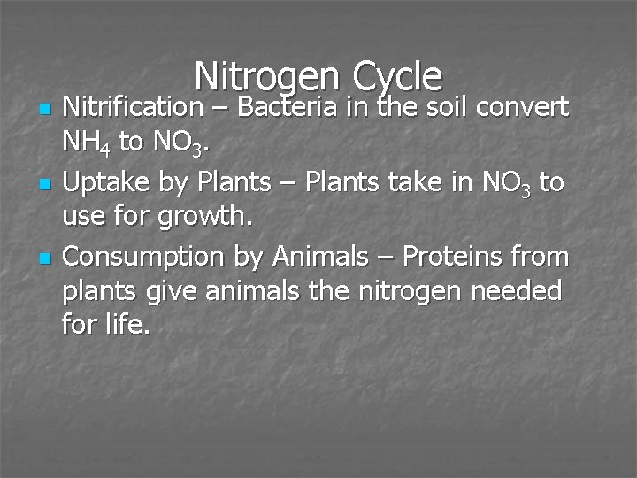 n n n Nitrogen Cycle Nitrification – Bacteria in the soil convert NH 4