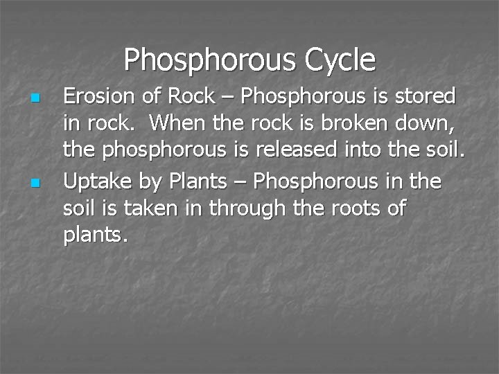 Phosphorous Cycle n n Erosion of Rock – Phosphorous is stored in rock. When