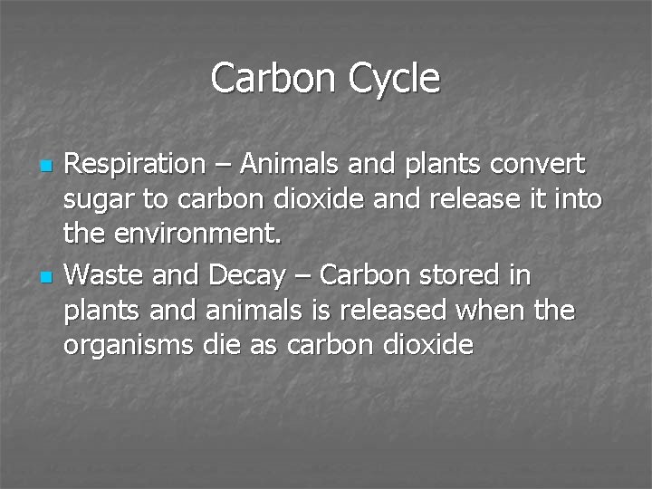 Carbon Cycle n n Respiration – Animals and plants convert sugar to carbon dioxide