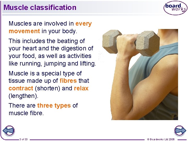 Muscle classification Muscles are involved in every movement in your body. This includes the Muscle classification Muscles are involved in every movement in your body. This includes the
