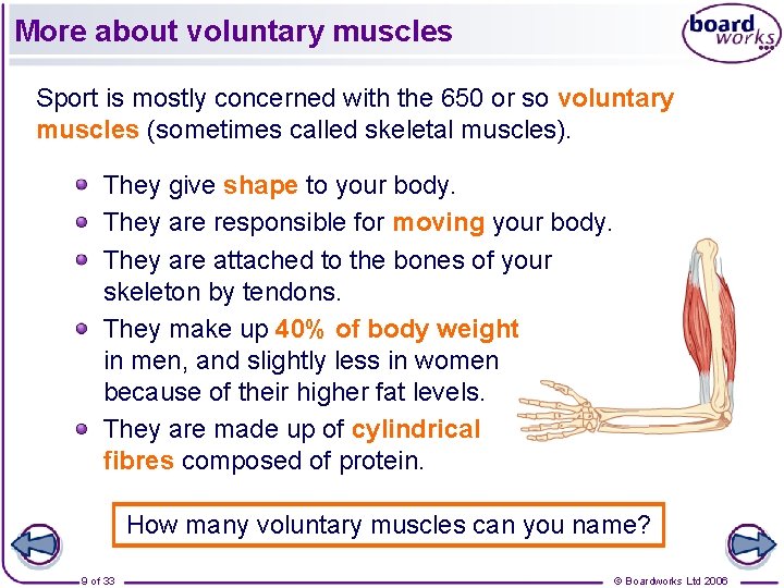 More about voluntary muscles Sport is mostly concerned with the 650 or so voluntary More about voluntary muscles Sport is mostly concerned with the 650 or so voluntary