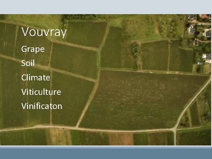 Vouvray Grape Soil Climate Viticulture Vinificaton 