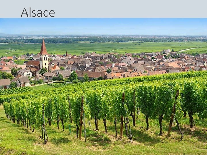 Alsace 