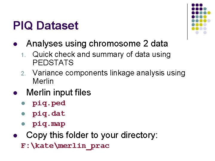 PIQ Dataset Analyses using chromosome 2 data l 1. 2. Merlin input files l