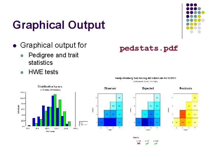 Graphical Output l Graphical output for l l Pedigree and trait statistics HWE tests