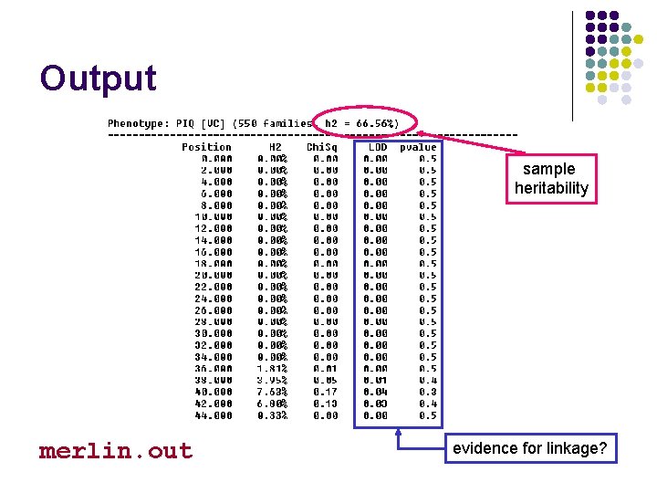 Output sample heritability merlin. out evidence for linkage? 