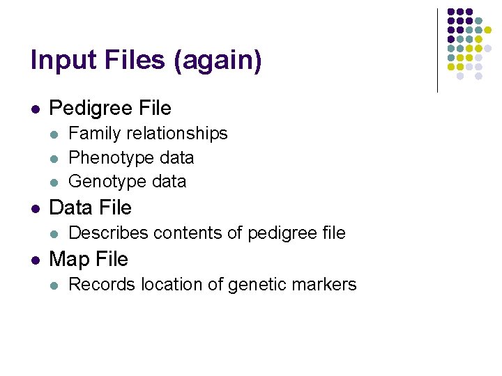 Input Files (again) l Pedigree File l l Data File l l Family relationships