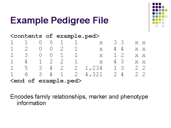 Example Pedigree File <contents of example. ped> 1 1 0 0 1 1 x