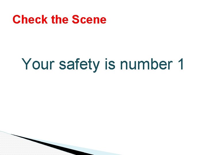 Check the Scene Your safety is number 1 Check the Scene Your safety is number 1