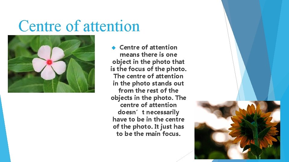 Centre of attention means there is one object in the photo that is the