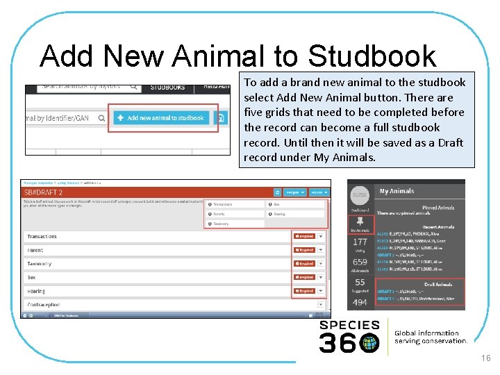 Add New Animal to Studbook To add a brand new animal to the studbook