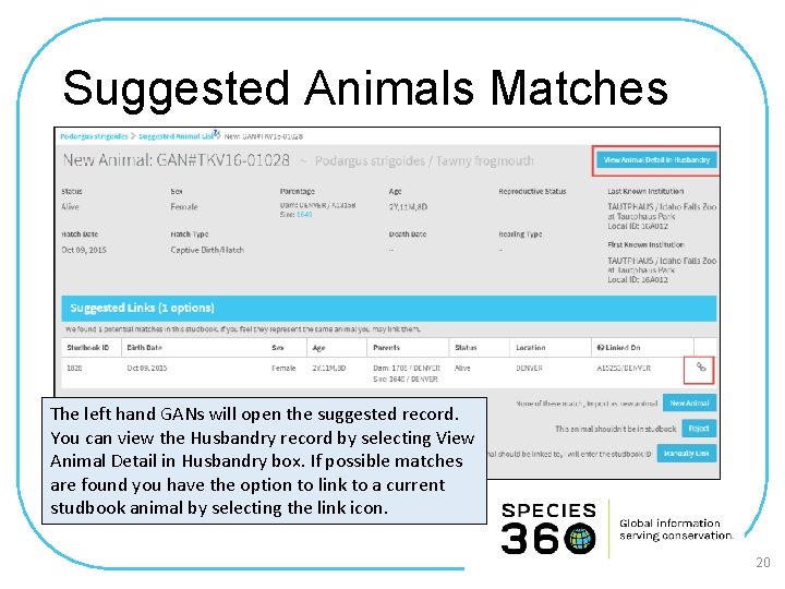 Suggested Animals Matches The left hand GANs will open the suggested record. You can