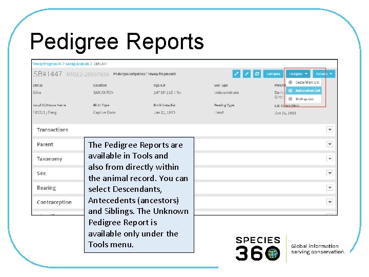Pedigree Reports The Pedigree Reports are available in Tools and also from directly within