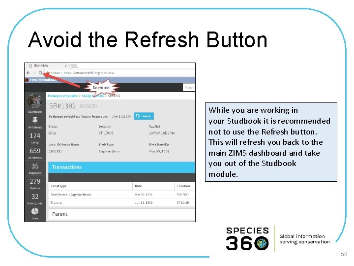 Avoid the Refresh Button While you are working in your Studbook it is recommended