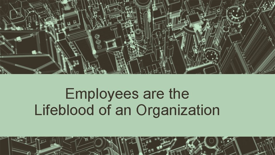 Employees are the Lifeblood of an Organization 