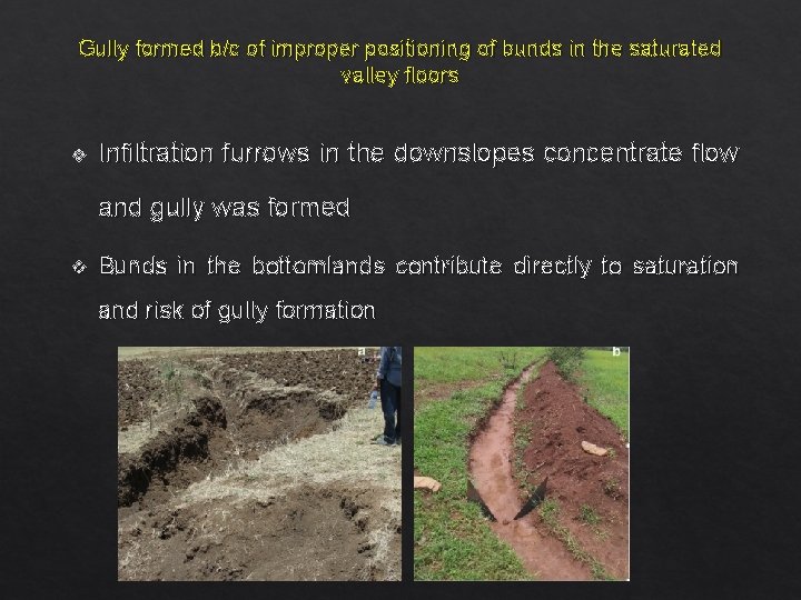 Gully formed b/c of improper positioning of bunds in the saturated valley floors v
